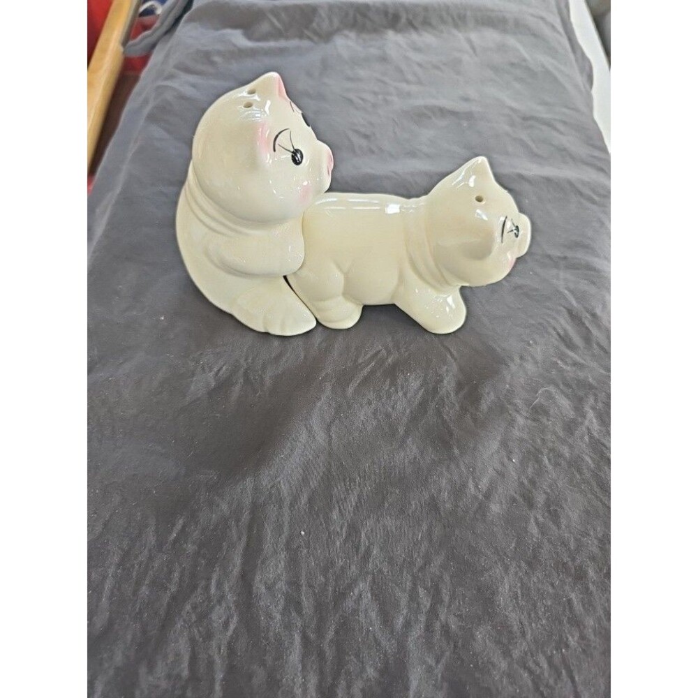 Naughty Pig Salt & Pepper Shaker Set, 2pc Ceramic White Pink Novelty Theme